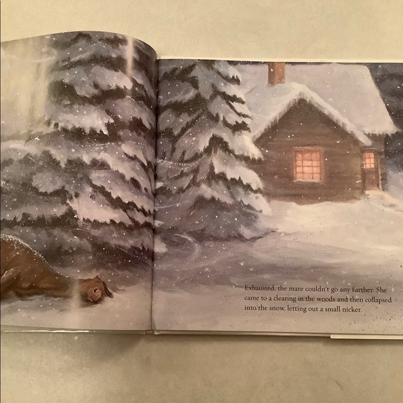 🤑”Winter’s Gift” book by Jane Monroe Donovan - Picture 7 of 11